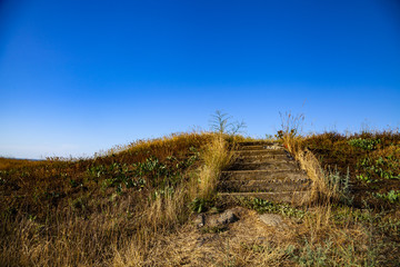 Stairs to the meadow.