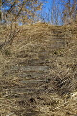 Stairs to the meadow.