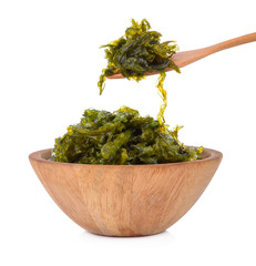 Seaweed Isolated on White Background