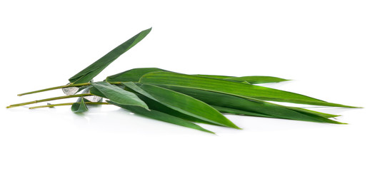 Naklejka premium Leaf of Bamboo isolated on white background
