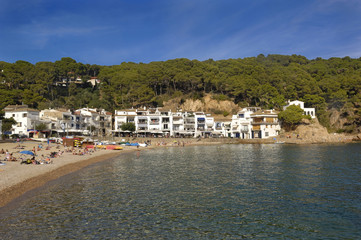Fototapeta na wymiar Tamariu beach, Palafrugell,Costa Brava, Girona, Catalonia,Spain