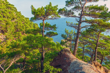 Fototapeta premium mountain landscape, pine forest on the rocks by the sea, A single rock in the sea is like a sailboat