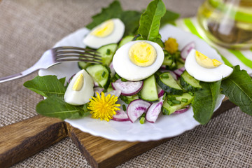 Salad of dandelions, Healthy spring salad of young leaves of dandelion, cucumber, radish and egg on a plate closeup