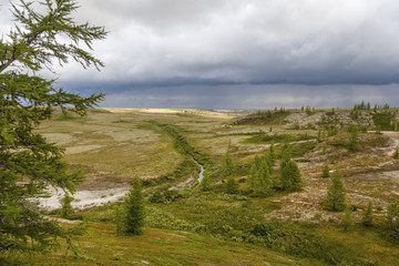 Obraz premium Beautiful landscape of forest-tundra,