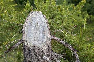 Beautiful landscape of forest-tundra,