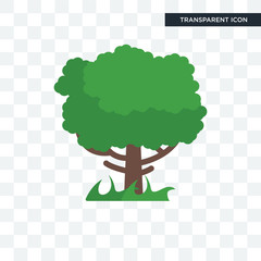 Tree vector icon isolated on transparent background, Tree logo design