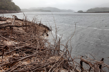 Shoreline of Lake Burbury Tasmania