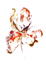 Abstract image of an orchid flower. Hand-made in oil paint and monotype techniques. Avant-garde art. Contemporary art. Stains. Modern painting, isolated on white background.