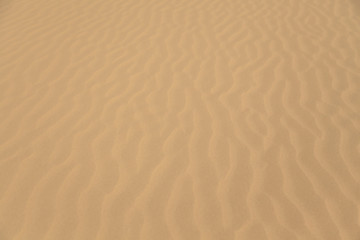 Sand Texture. Brown sand. Background from fine sand.