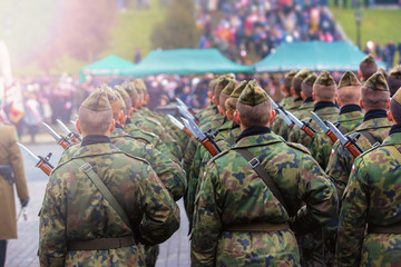 Polish soldiers, Army parade 
