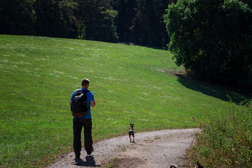 Fototapeta premium Mann wandert läuft mit seinen Hunden Hund auf Weg in der Eifel