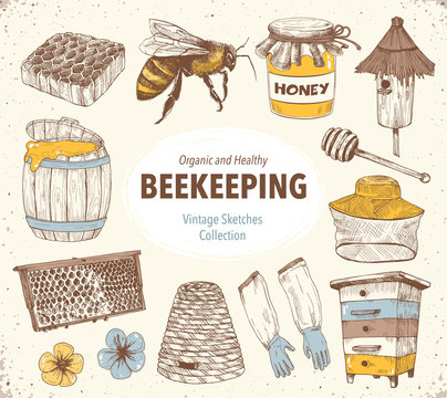 Hand drawn apiary objects. Beekeeping inventory in sketch style. Vector Illustration.