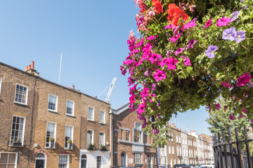 London Terrace Houses