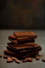sweet gourmet chocolate pieces with cocoa powder, nuts and cocoa beans on grey