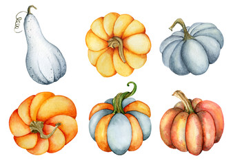 Watercolor pumpkin illustration isolated on the white background