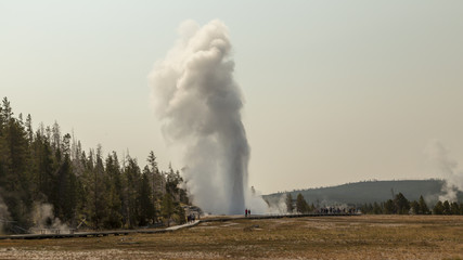 grand geyser