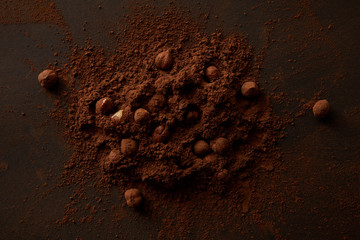 top view of gourmet cocoa powder and hazelnuts on dark background