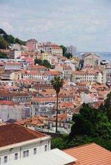 Panorama Lizbony z palmą