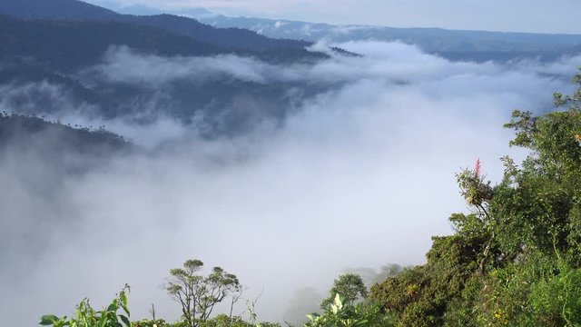 The Rio Abanico Valley with misty cloudforest covered hillsides. On the Amazonian slopes of the Andes in Morona Santiago province, Ecuador