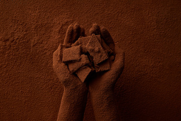 cropped shot of person holding chocolate pieces and cocoa powder
