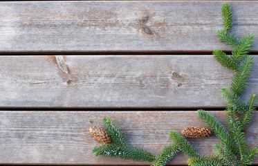 The green spruce branch lies on a wooden background, copy space for your text