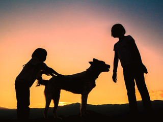 Silhouette of happy two children playing with a dog on mountain at sunset time