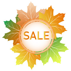 Autumn sale banner with colorful maple leaves