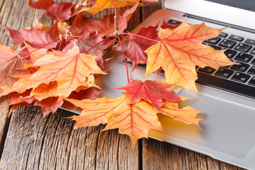autumn time to change job