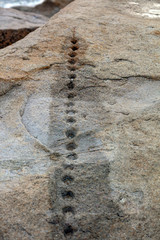 Felsen an einem Strand auf Korsika