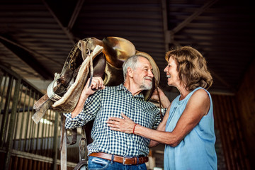 A senior couple holding a horse saddle on his shoulders in a stable.