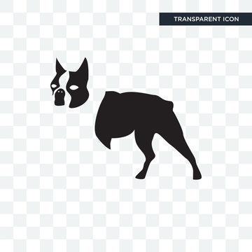 boston terrier vector icon isolated on transparent background, boston terrier logo design