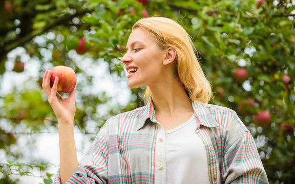 Farm produce organic natural product. Girl rustic style gather harvest garden autumn day. Farmer pretty blonde with appetite red apple. Local crops concept. Woman hold apple garden background