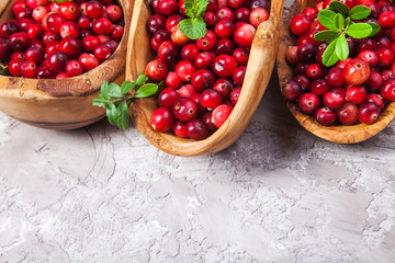 Harvest fresh red cranberries in wooden bowl, selective focus. Autumn concept