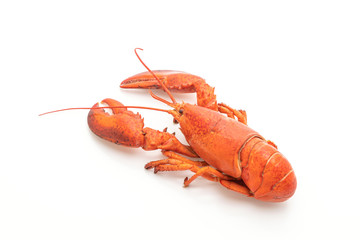 cooked lobster isolated on white
