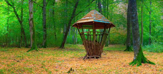 Leśny Paśnik © Wojciech Lisiński