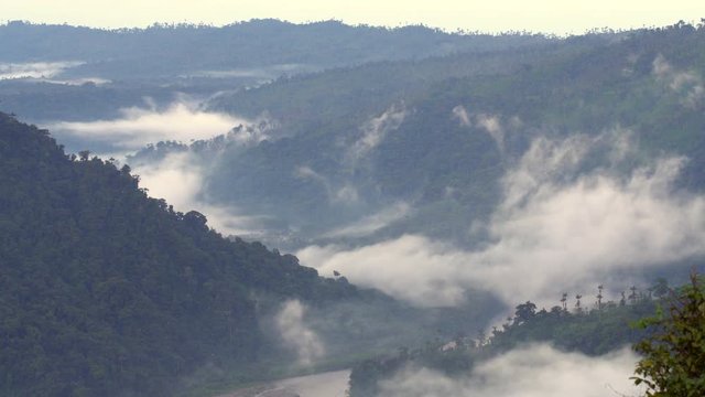 The Rio Abanico Valley with misty cloudforest covered hillsides. On the Amazonian slopes of the Andes in Morona Santiago province, Ecuador