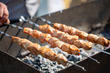 Barbecue. Juicy shish kebab on the grill. Shish kebab on skewers fried on hot coals, aromatic smoke rises upwards.