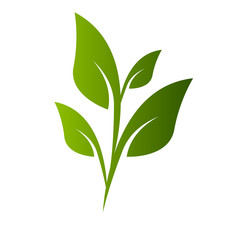 Leaf nature Design