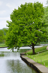 Fototapeta na wymiar View of the park in township, Germany.