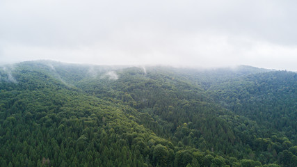Beautiful cloudy green mountain landscape with trees in Carpathians
