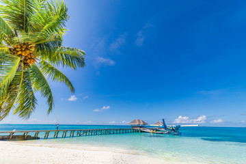 Tropical island. Seaplane and wooden jetty in blue sea