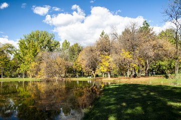 Beautiful autumn park with colorful trees and leaves and reflection in artificial ponds.