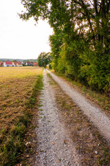 Weg zum Dorf