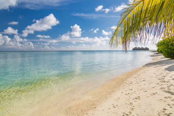 Fototapeta na wymiar Luxury travel destination and vacation background. Tropical beach landscape, palms and luxury water villas