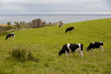 Dunnottar Castle, Escocia