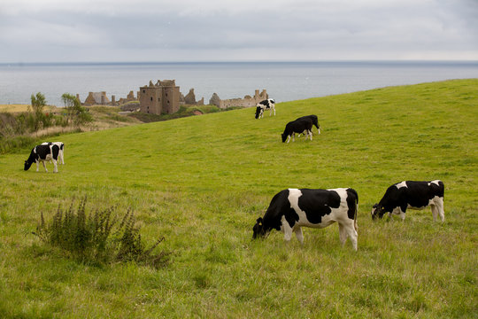 Dunnottar Castle, Escocia