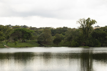 Lake in Forest
