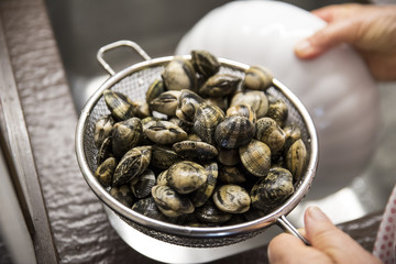 Grandmother cleaning clams shells before cooking them