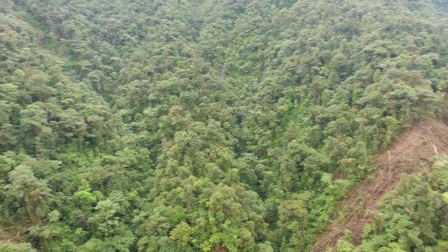 Strip clear cut through montane rainforest to string new electricity pylons. For the Hydro Abanico Hydroelectric scheme on the Amazonian slopes of the Andes in Morona Santiago province, Ecuador