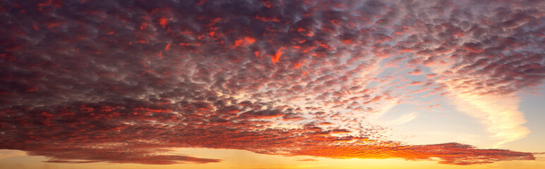 Panoramic photo of a fiery sky at sunset. Golden sunset in September, Belarus, Vitebsk region. Suitable for any design.